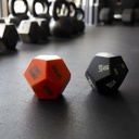 BOSU Exercise dice set