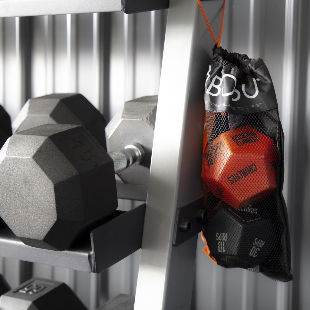 BOSU Exercise dice set