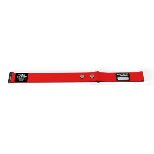 Myzone Replacement strap standard (for Switch)