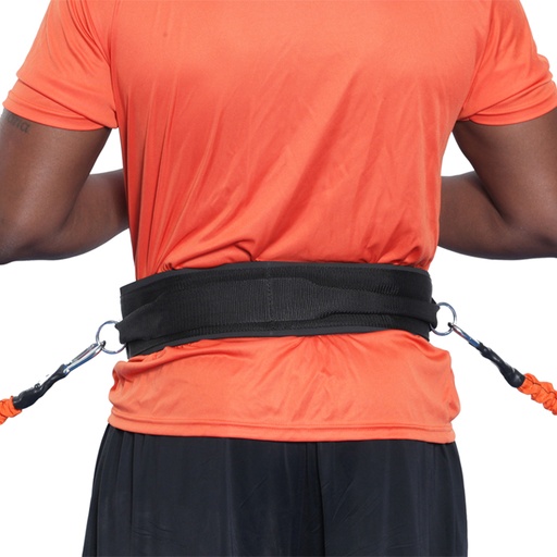 [394226] Cat/Cheetah Belt