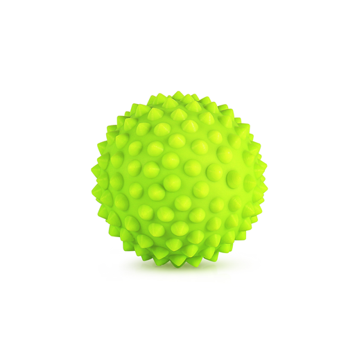 [PTP-SENSORY BALL] PTP - SENSORY BALL